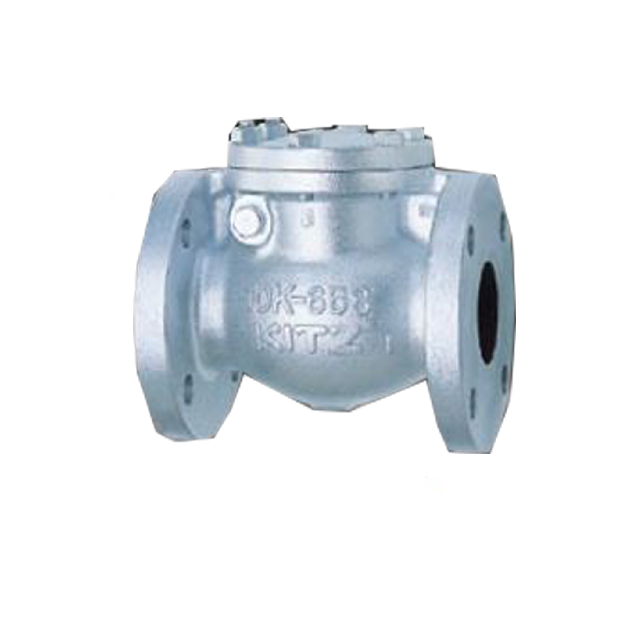 Cast Iron Swing Check Valve / เช็ควาล์วเหล็กหล่อ 