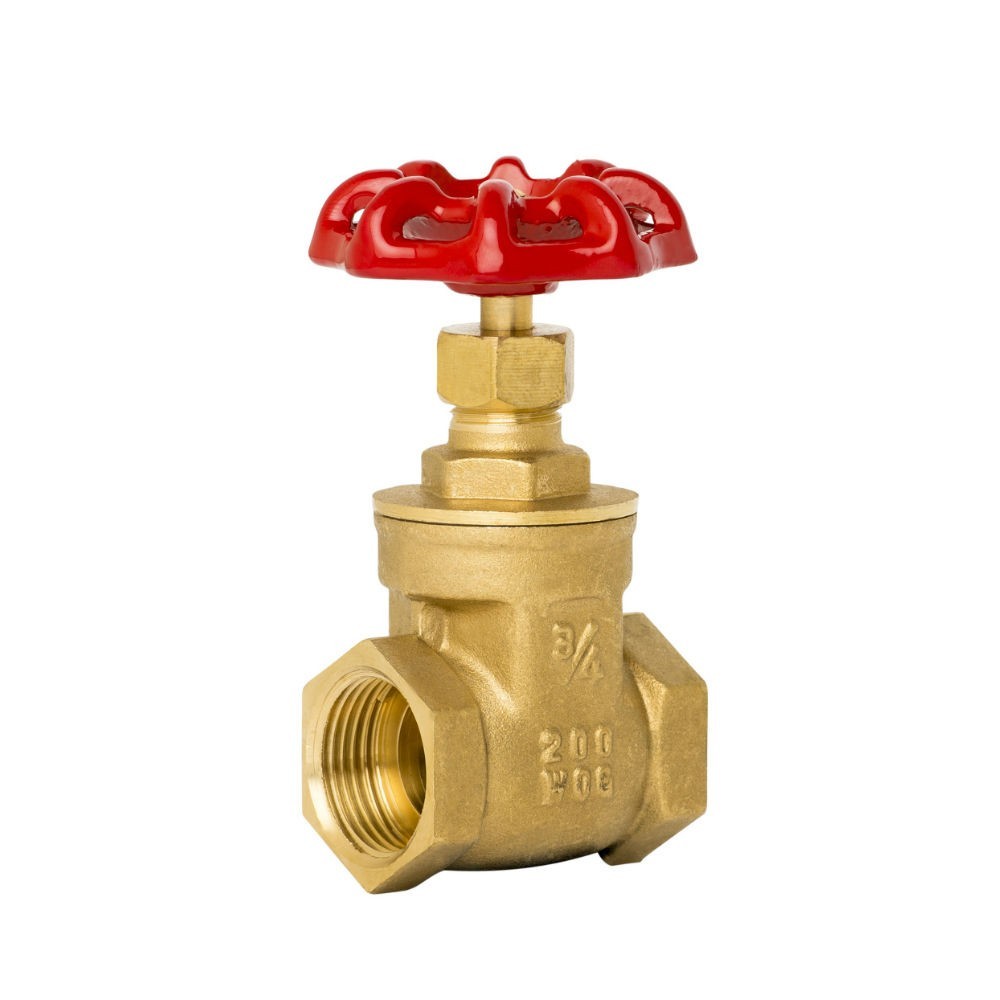 ฺBrass Gate Valve 150 PSI 