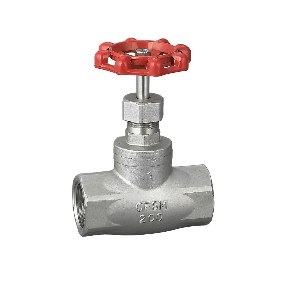 Stainless Globe Valve 316 